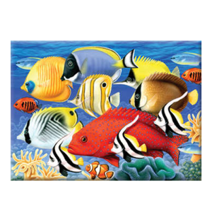Royal & Langnickel Paint By Number - Tropical Fish