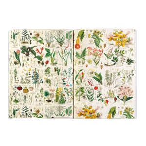 Pepin Giftwrap Book - Flora