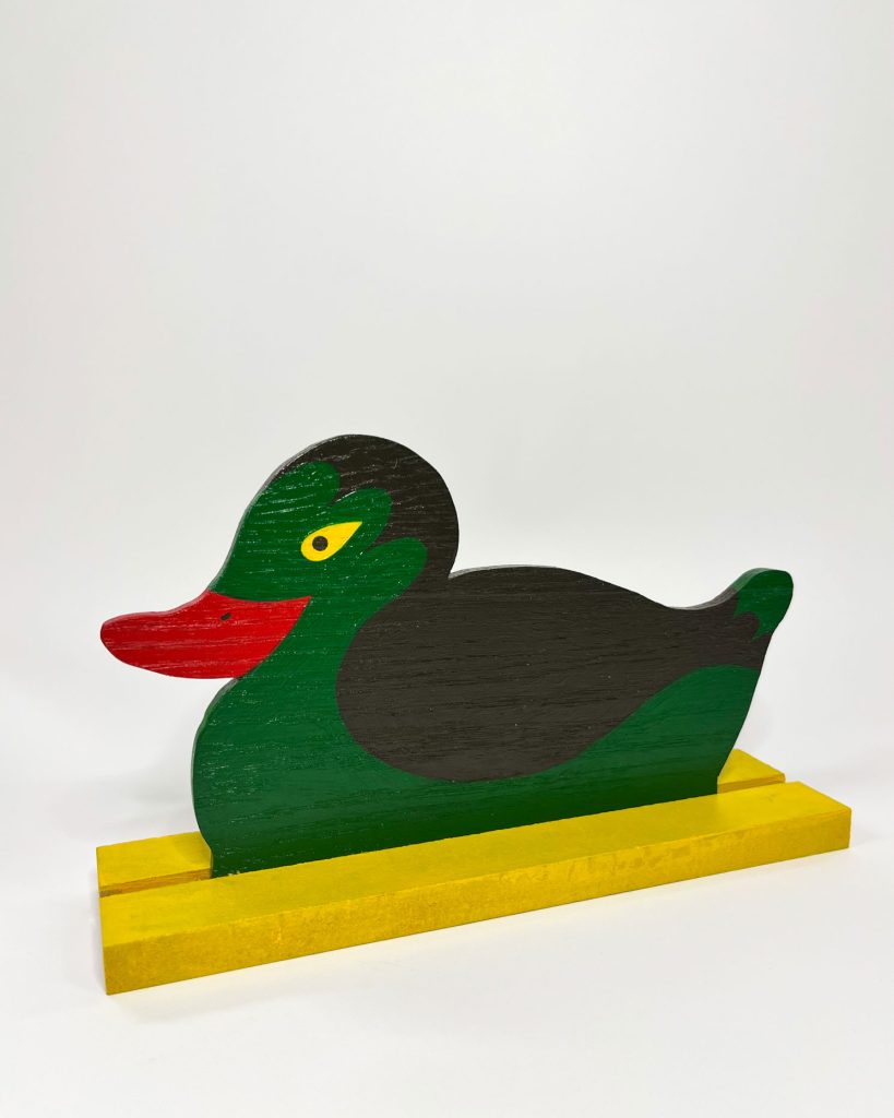 2026AB_CT_Duck_2