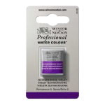 Winsor & Newton Professional Watercolour Half-Pans